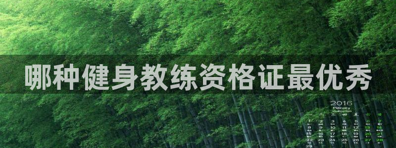 龙8国际老虎机电子