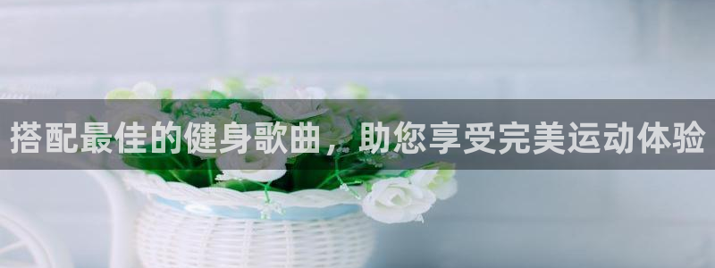 龙8国际3.0