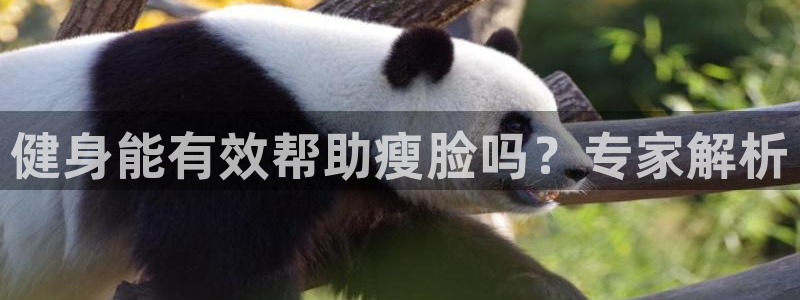 龙8国际线上