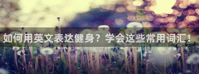 国际龙8官方网站