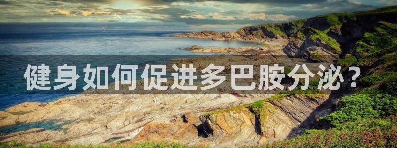 龙8国际唯一官网手游登入口