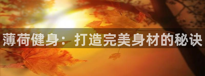 龙8国际总代理
