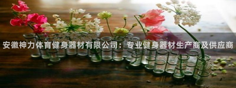 龙八国际娱乐官网app