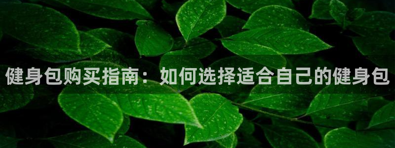龙8国际.apk