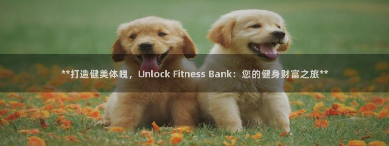 龙8国际网站