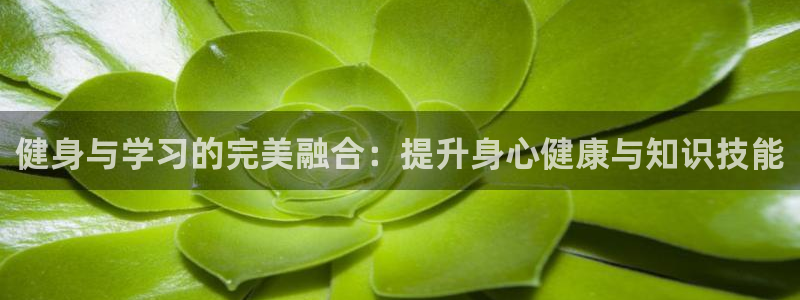 龙8国际头号玩家