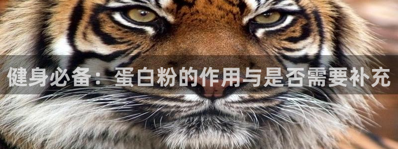 国际龙8唯一登陆