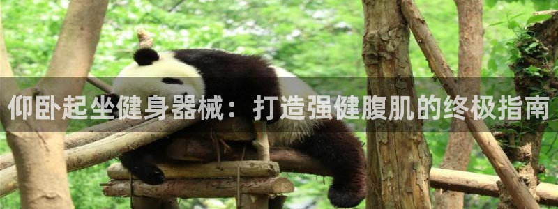 龙8国际游戏最新资讯