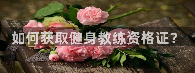 龙 八国际