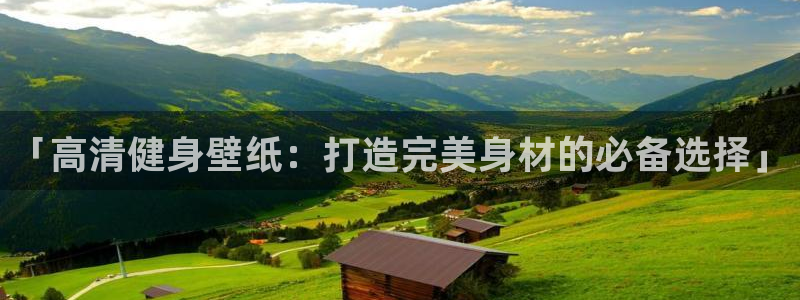 龙8国际备用