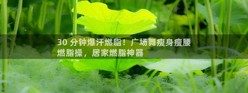 龙8国际官网进入