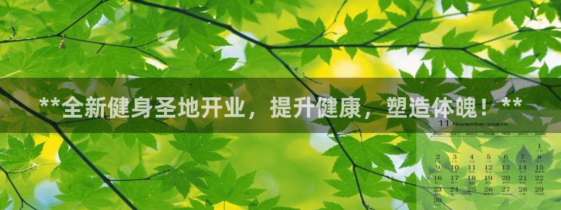 龙8国际官网娱乐