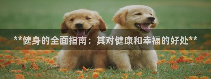 龙8国际官网 点此进入