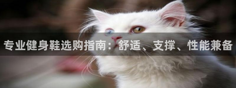 龙8国际官网版