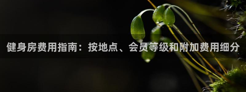 龙8国际官网下载